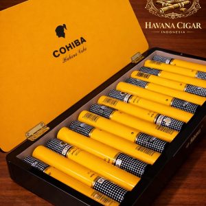 Cohiba Siglo VI - Humidor Box